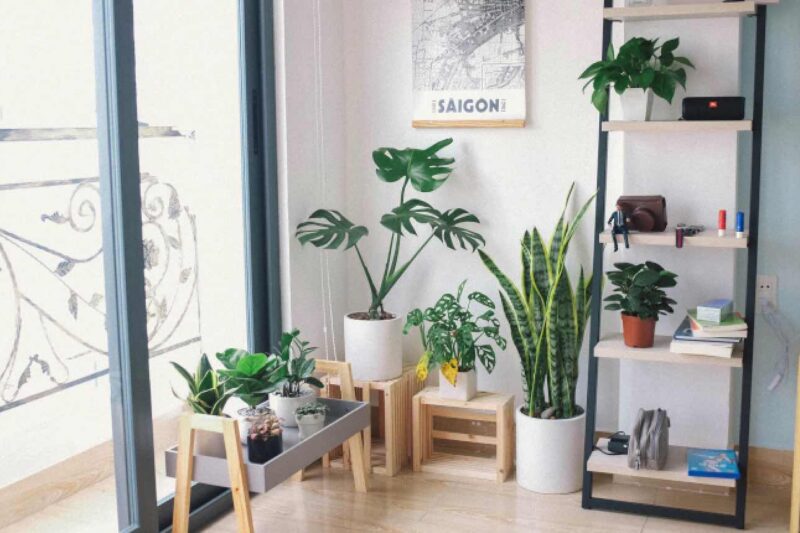 Tolle Accessoires für ein individuelles Ambiente
