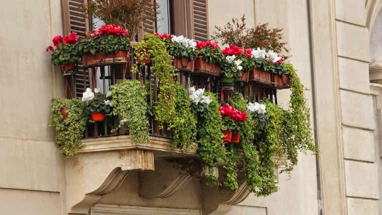 Den Balkon zur Oase verwandeln 
