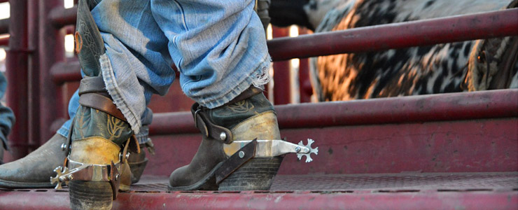 Mit den richtigen Stiefeln zum perfekten Cowgirl