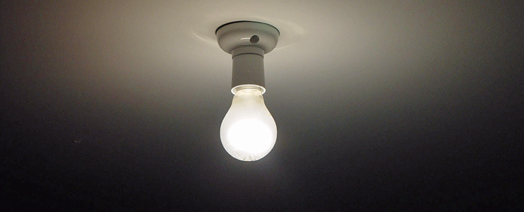 Day-Light Birnen