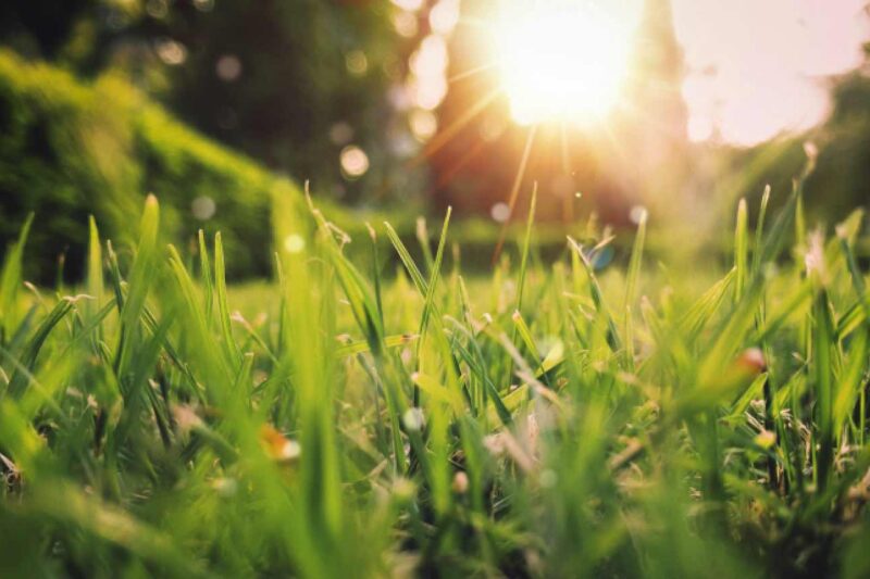 Fit und gesund in den Frühling