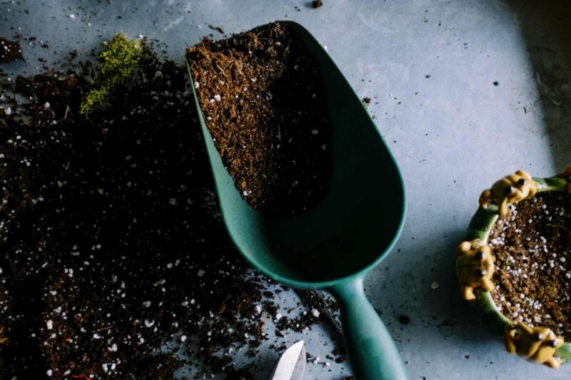 Jetzt den Garten auf das nächste Frühjahr vorbereiten