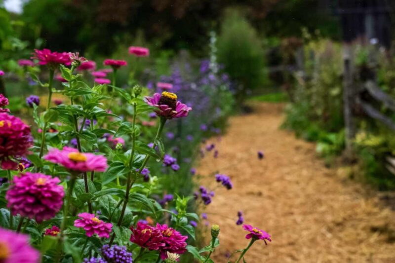 Tipps für die Gartenpflege im Herbst