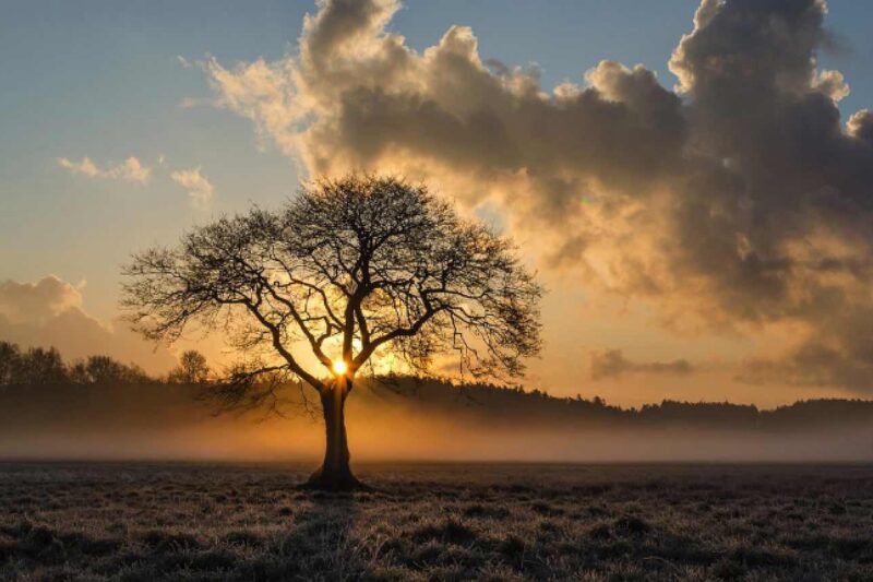 Gesund und fit durch den Herbst