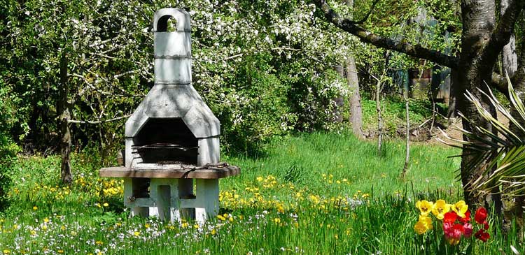 Die perfekte Bepflanzung für den Grillplatz