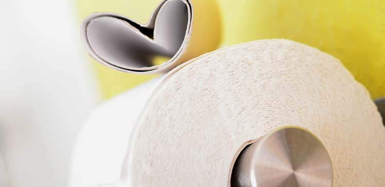 Hygiene Toilette