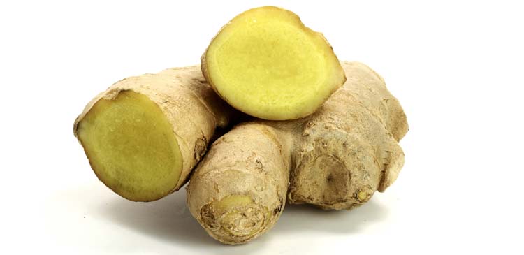 Ingwer Gesundheit