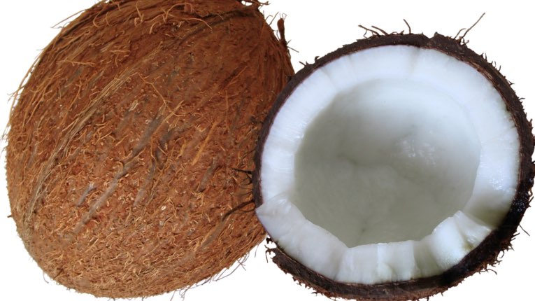 Kokosnussoel2