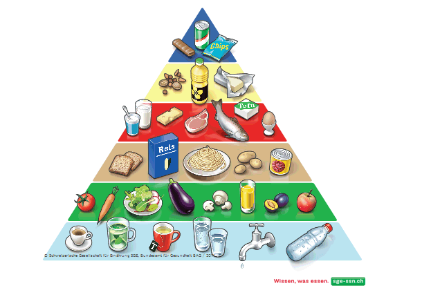 Lebensmittelpyramide SGE