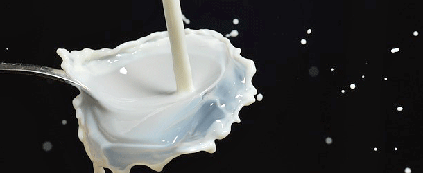 Milch Gesundheit