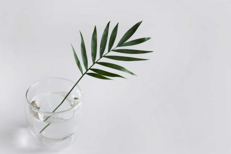 Minimalismus – Trend und Lebensstil