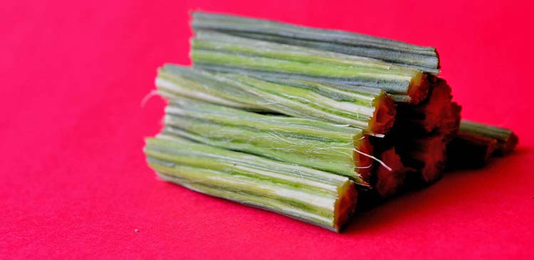 Keine Mangelerscheinungen dank Moringa