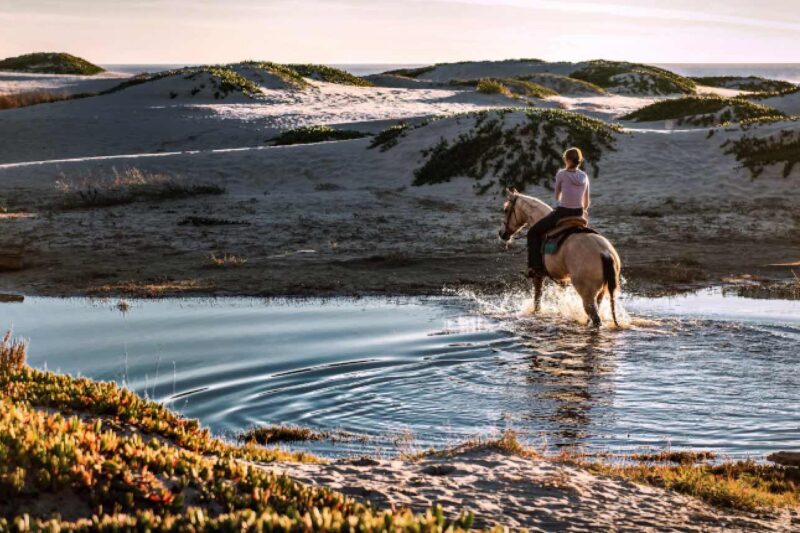 Reiten ist gut für Körper, Geist und Seele