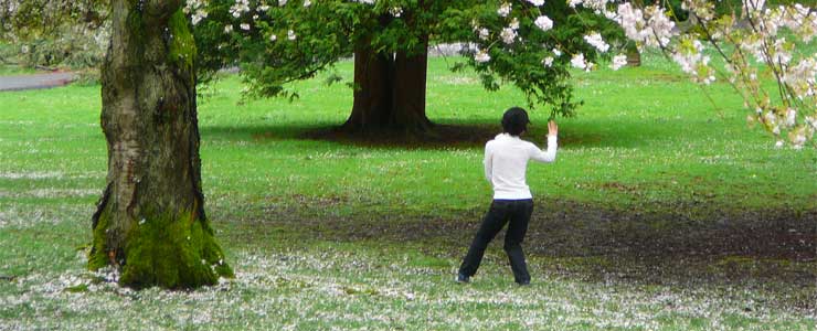 Tai Chi ist ein echter «Seelenbalsam»