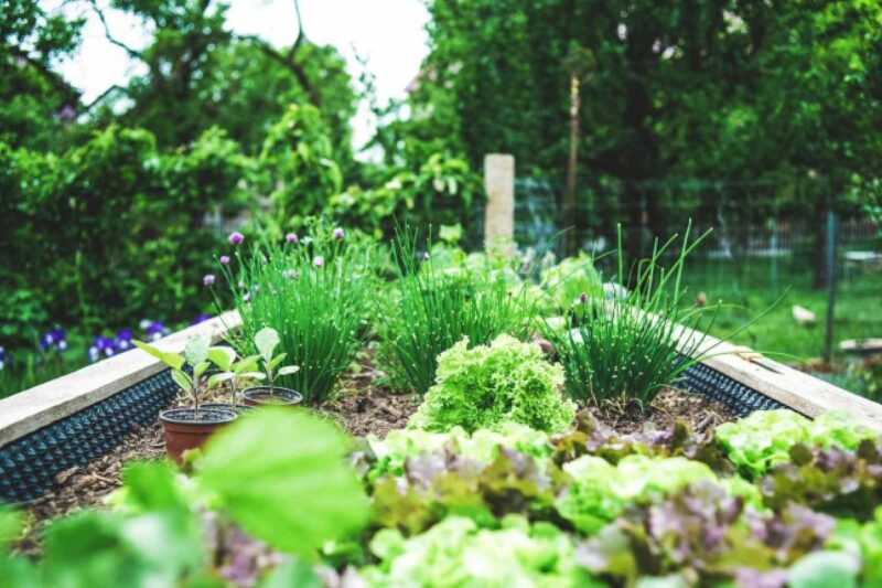 Tipps für die tatkräftige Gartenarbeit