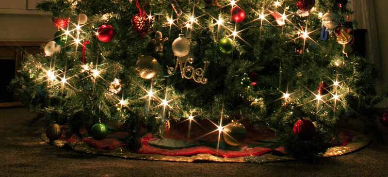 Der ideale Weihnachtsbaum