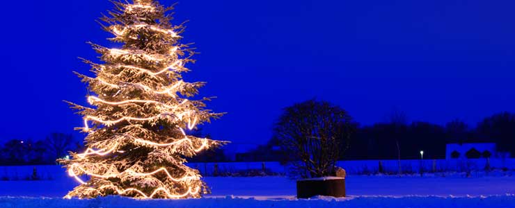 Weihnachtsbeleuchtung für aussen