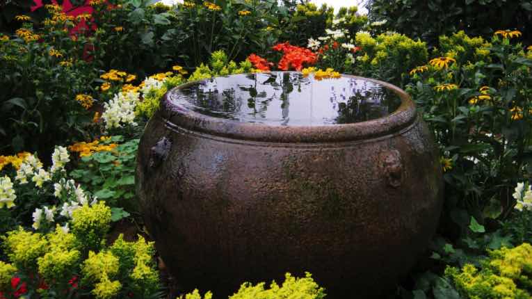 Eine mediterrane Oase – der Garten